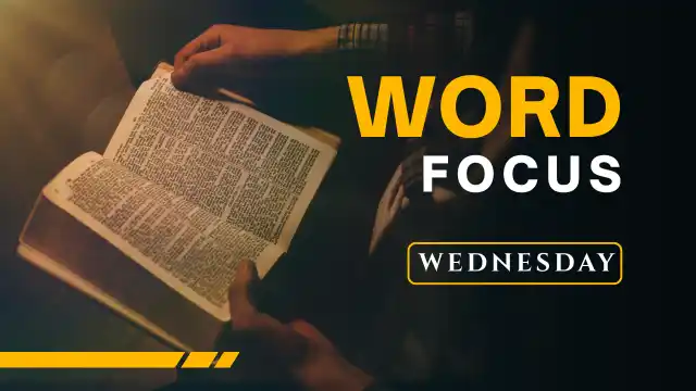 Word Focus